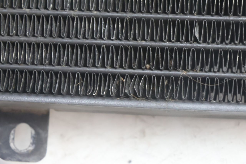 photo de RADIADOR BMW C1 125 (2000 - 2003) - Detalhe da peça