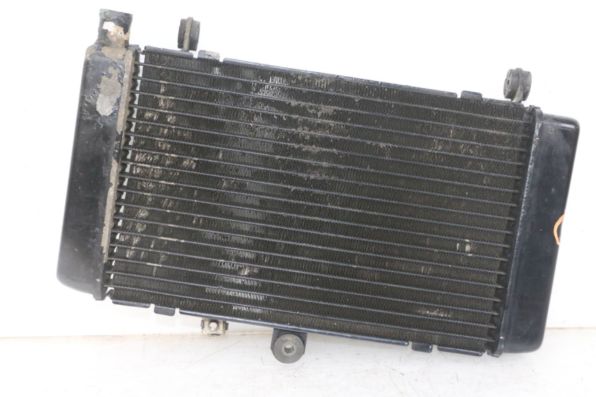 photo de RADIADOR HONDA CBF 500 (2004 - 2007) - Vista principal