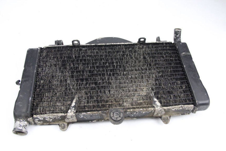 photo de RADIADOR HONDA CBR F SC21 1000 (1986 - 1992) - Vista principal