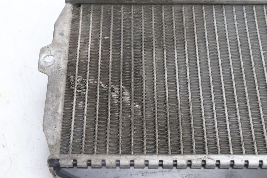photo de RADIADOR PEUGEOT CITYSTAR 125 (2011 - 2017) - Zoom do estado de desgaste