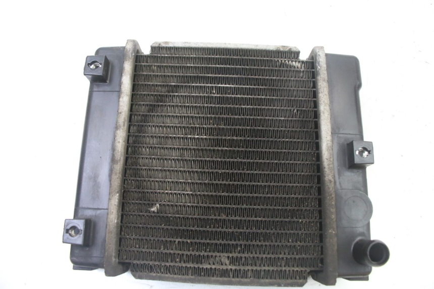 photo de RADIADOR KYMCO DINK STREET 125 (2009 - 2014) - Vista principal