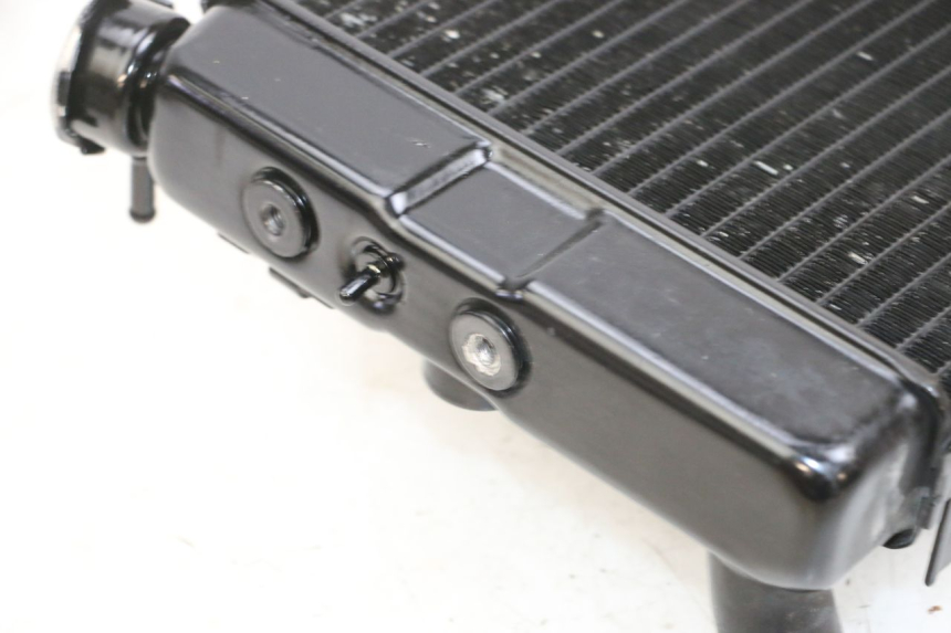 photo de RADIADOR SUZUKI DL V STROM 1000 (2002 - 2007) - Estado da superfície