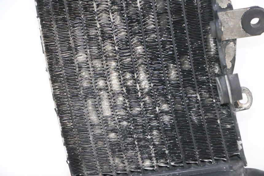photo de RADIADOR DIREITO HONDA XRV AFRICA TWIN 750 (1990 - 1992) - Detalhe da peça