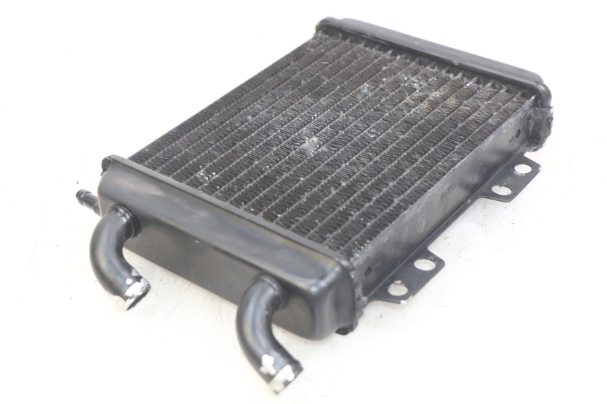 photo de RADIADOR PEUGEOT ELYSEO 125 (1999 - 2004) - Outro ângulo de visão