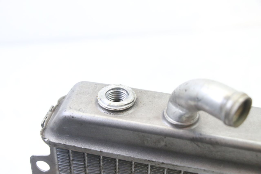 photo de RADIADOR PEUGEOT ELYSEO 125 (1999 - 2004) - Zoom do estado de desgaste