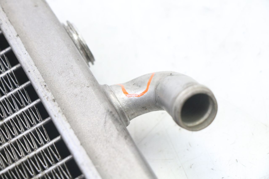 photo de RADIADOR PEUGEOT ELYSEO 125 (1999 - 2004) - Outro ângulo de visão