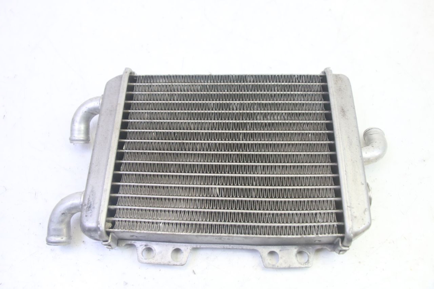 photo de RADIADOR PEUGEOT ELYSEO 125 (1999 - 2004) - Vista principal