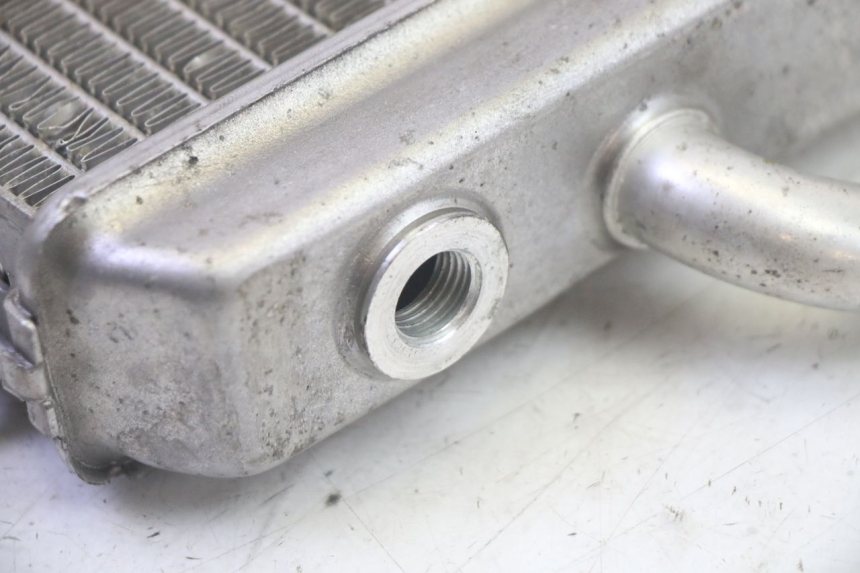 photo de RADIADOR PEUGEOT ELYSEO 125 (1999 - 2004) - Zoom do estado de desgaste
