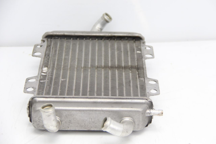 photo de RADIADOR PEUGEOT ELYSTAR 125 (2002 - 2007) - Zoom do estado de desgaste