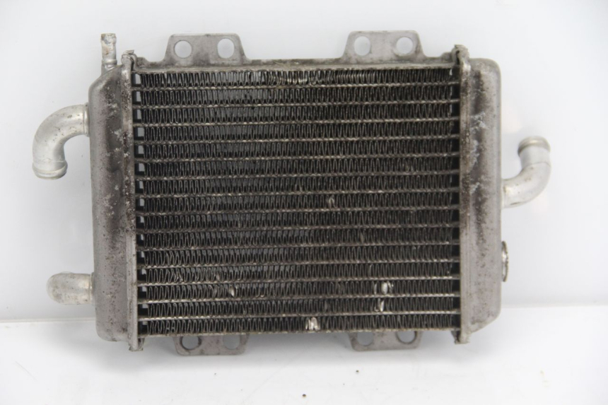 photo de RADIADOR PEUGEOT ELYSTAR 125 (2002 - 2007) - Vista geral