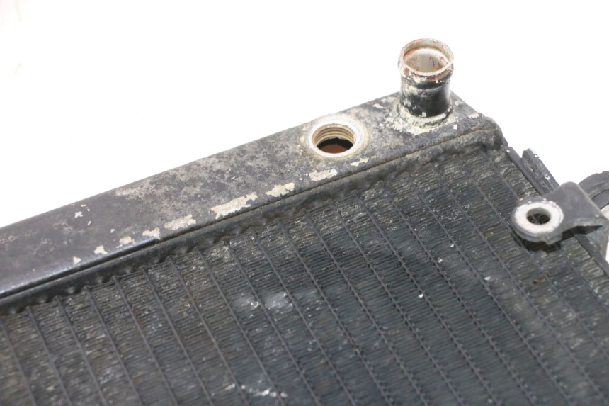 photo de RADIADOR HONDA FES PANTHEON 2T 125 (1998 - 2002) - Detalhe da peça