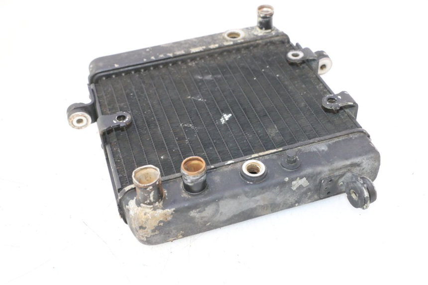photo de RADIADOR HONDA FES PANTHEON 2T 125 (1998 - 2002) - Outro ângulo de visão
