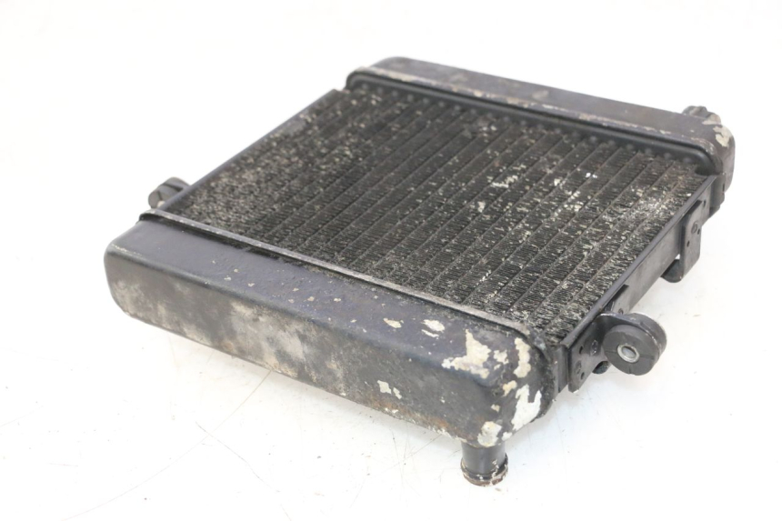 photo de RADIADOR HONDA FES PANTHEON 2T 125 (1998 - 2002) - Vista geral