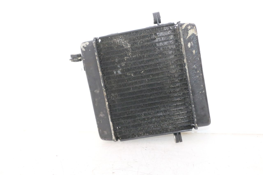 photo de RADIADOR HONDA FES PANTHEON 2T 125 (1998 - 2002) - Estado da superfície