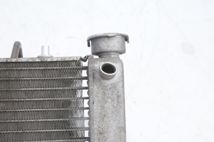 photo de RADIADOR HONDA FES PANTHEON 125 (2003 - 2007) - Detalhe da peça