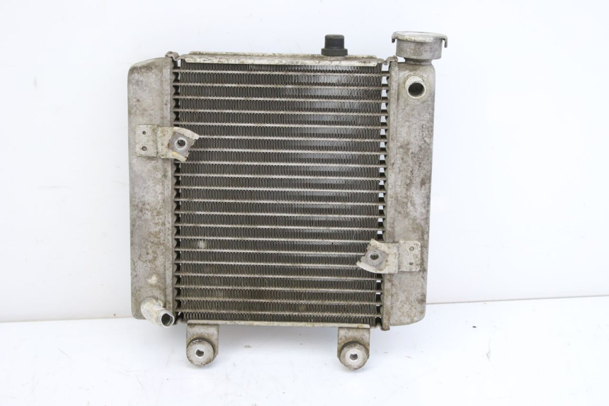 photo de RADIADOR HONDA FES S-WING SWING ABS 125 (2007 - 2015) - Vista principal