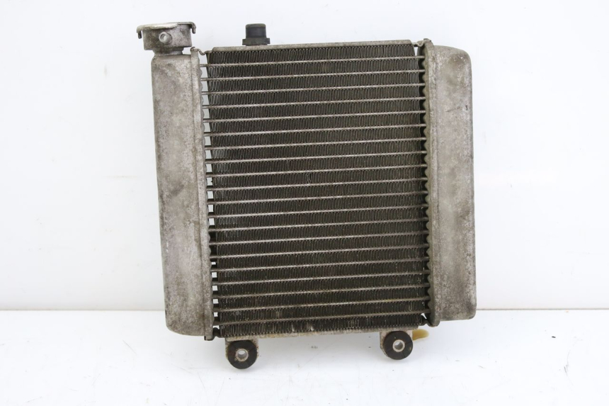 photo de RADIADOR HONDA FES S-WING SWING ABS 125 (2007 - 2015) - Detalhe da peça