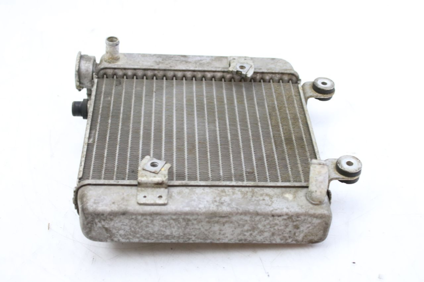 photo de RADIADOR HONDA FES S-WING SWING ABS 125 (2007 - 2015) - Zoom do estado de desgaste