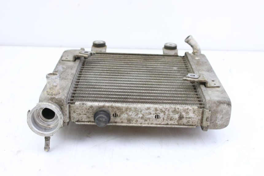 photo de RADIADOR HONDA FES S-WING SWING ABS 125 (2007 - 2015) - Ampliação técnica