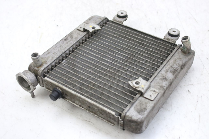 photo de RADIADOR HONDA FES S-WING SWING ABS 125 (2007 - 2015) - Vista principal