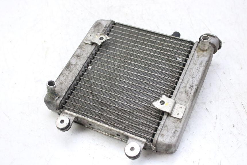 photo de RADIADOR HONDA FES S-WING SWING ABS 125 (2007 - 2015) - Vista geral
