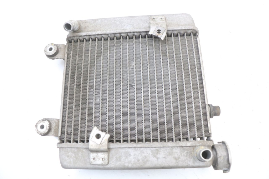 photo de RADIADOR HONDA FES S-WING SWING ABS 125 (2007 - 2015) - Vista principal