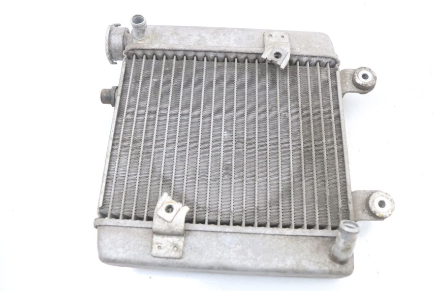 photo de RADIADOR HONDA FES S-WING SWING ABS 125 (2007 - 2015) - Zoom do estado de desgaste
