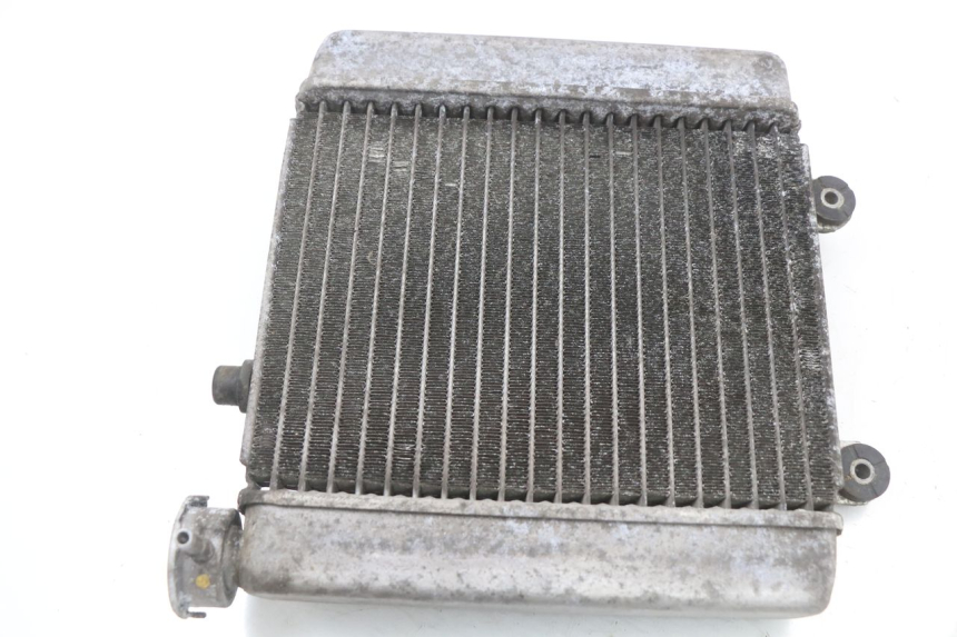 photo de RADIADOR HONDA FES S-WING SWING ABS 125 (2007 - 2015) - Estado da superfície