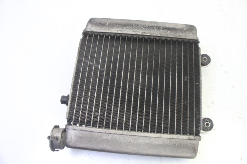 photo de RADIADOR HONDA FES S-WING SWING ABS 125 (2007 - 2015) - Vista principal