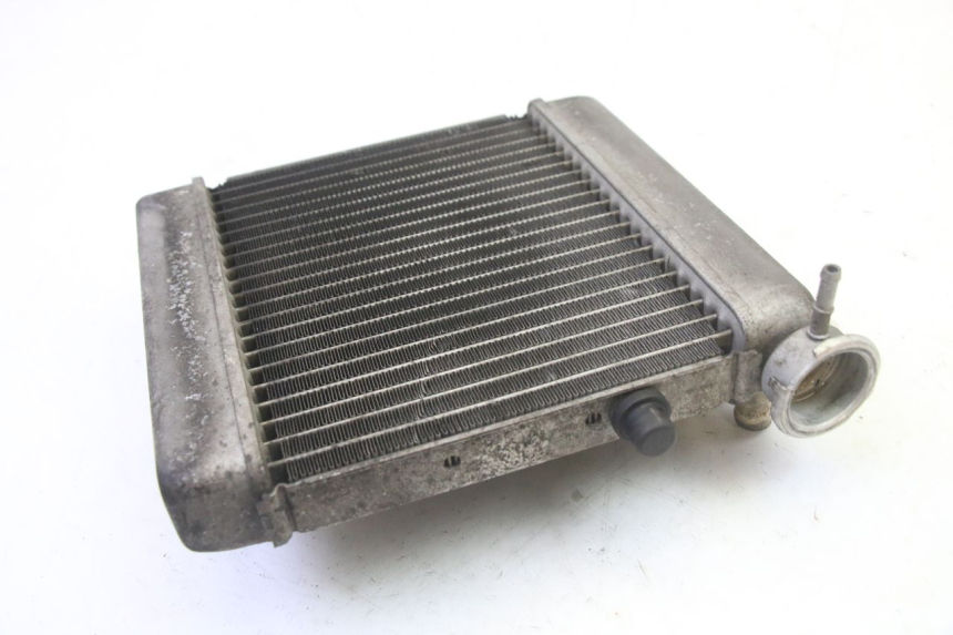 photo de RADIADOR HONDA FES S-WING SWING ABS 125 (2007 - 2015) - Detalhe da peça