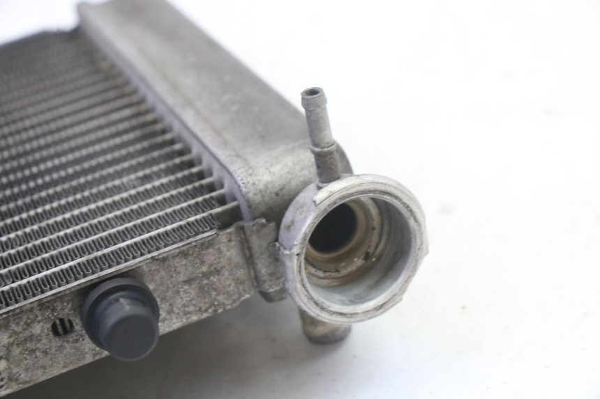 photo de RADIADOR HONDA FES S-WING SWING ABS 125 (2007 - 2015) - Zoom do estado de desgaste