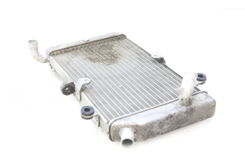 photo de RADIADOR HONDA FJS SILVER WING SILVERWING 400 (2005 - 2008) - Vista do produto