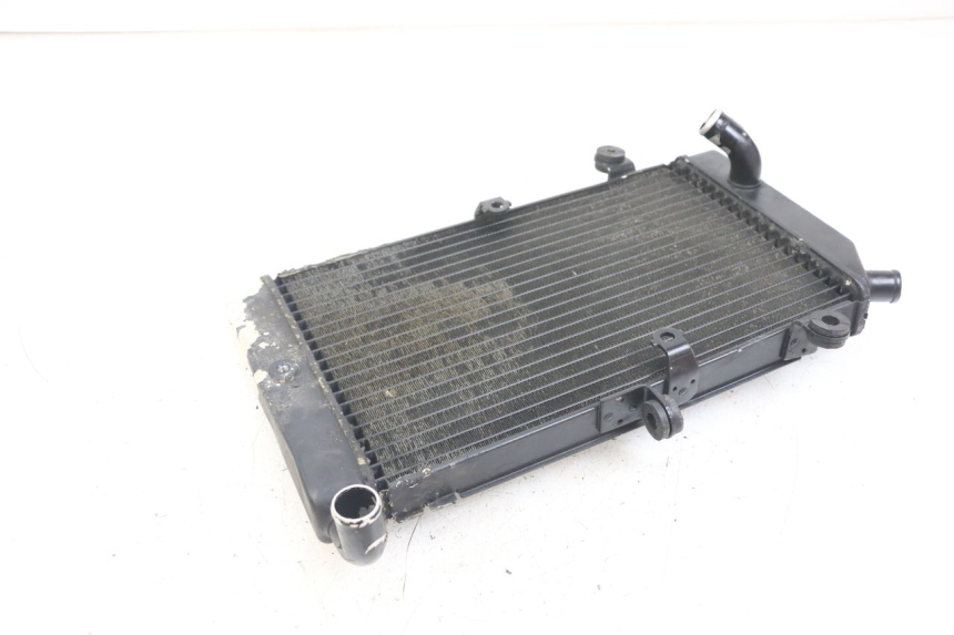 photo de RADIADOR HONDA FJS SILVERWING SILVER WING 600 (2001 - 2010) - Zoom do estado de desgaste