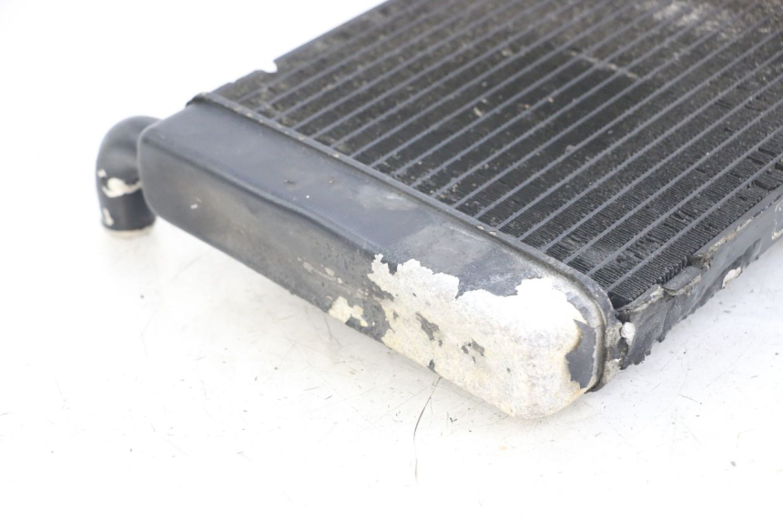 photo de RADIADOR HONDA FJS SILVERWING SILVER WING 600 (2001 - 2010) - Estado da superfície