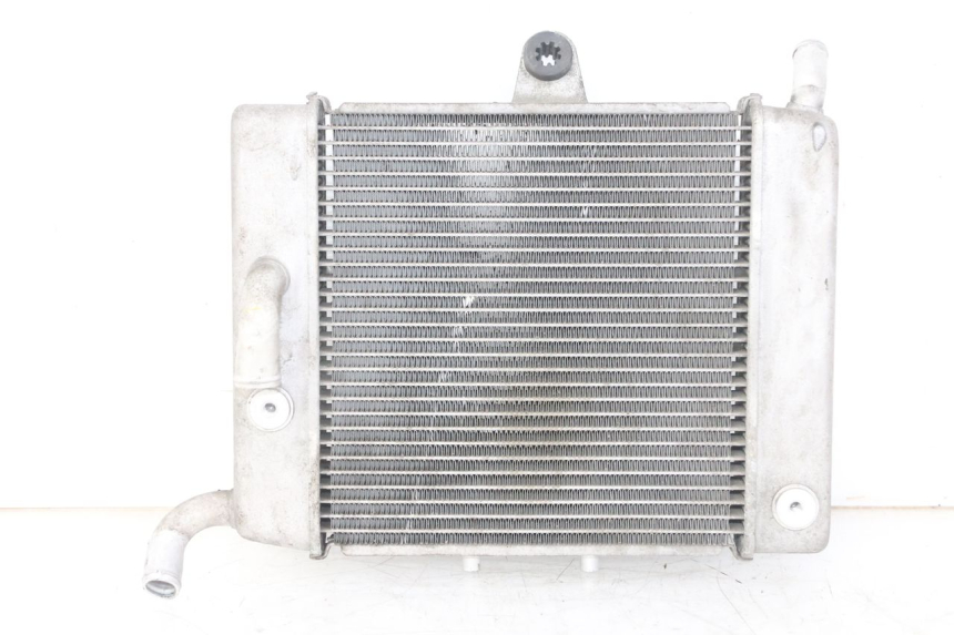 photo de RADIADOR HONDA FORZA ABS 300 (2013 - 2017) - Vista principal