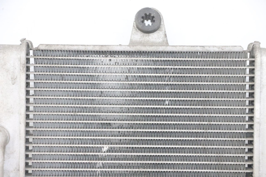 photo de RADIADOR HONDA FORZA ABS 300 (2013 - 2017) - Ampliação dos componentes
