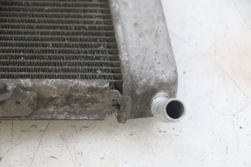photo de RADIADOR HONDA FORZA ABS 300 (2013 - 2017) - Zoom do estado de desgaste