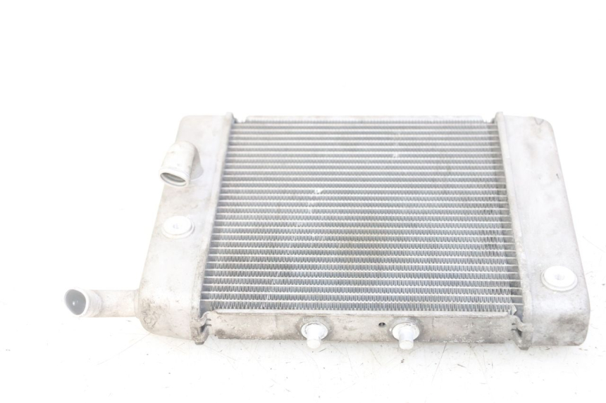 photo de RADIADOR HONDA FORZA ABS 300 (2013 - 2017) - Vista geral