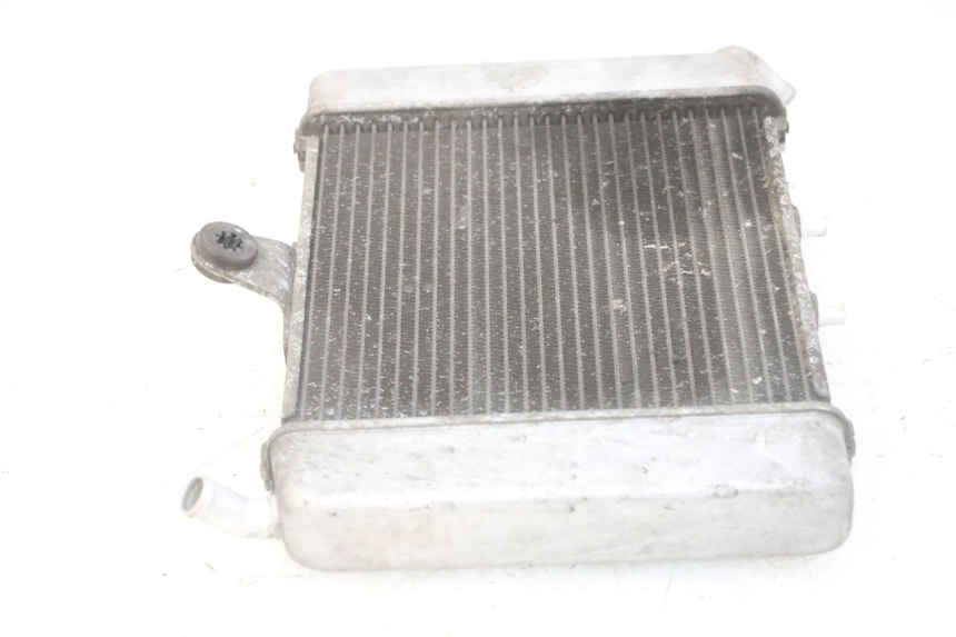 photo de RADIADOR HONDA FORZA ABS 300 (2013 - 2017) - Estado da superfície