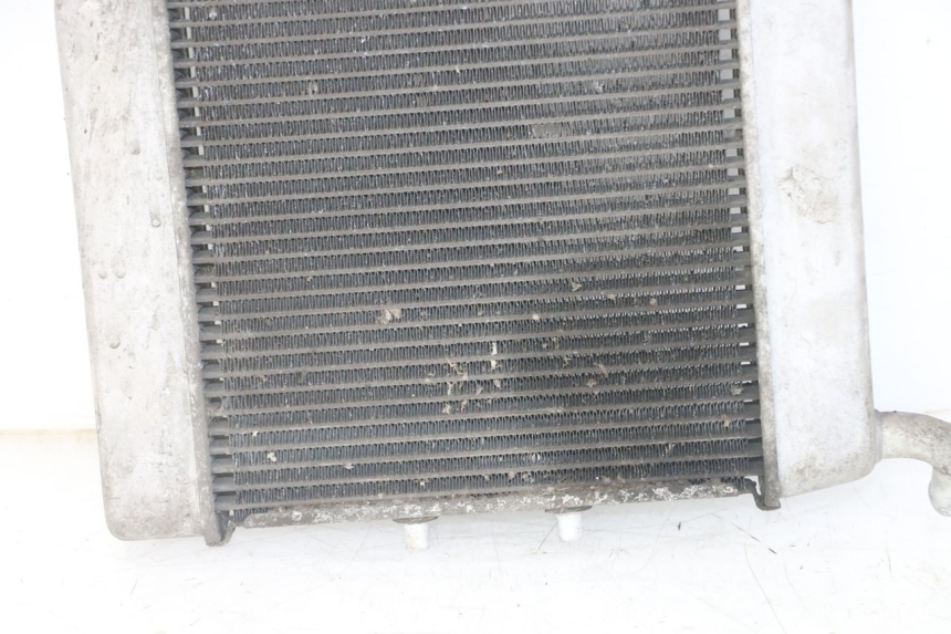 photo de RADIADOR HONDA FORZA ABS 300 (2013 - 2017) - Peça verificada