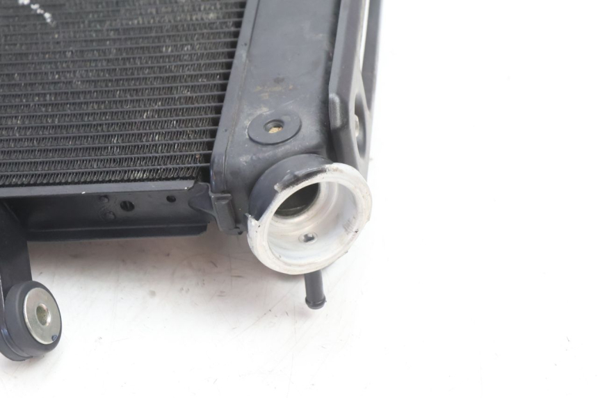 photo de RADIADOR YAMAHA FZ8 800 (2010 - 2016) - Vista geral