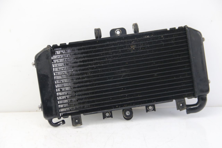 photo de RADIADOR YAMAHA FZS FAZER 600 (2001 - 2003) - Vista principal