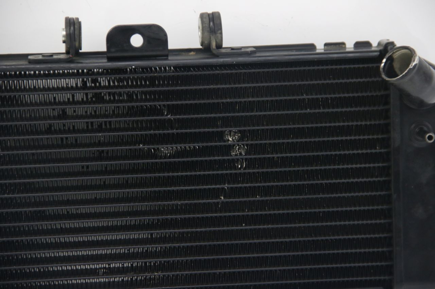 photo de RADIADOR YAMAHA FZS FAZER 600 (2001 - 2003) - Vista geral