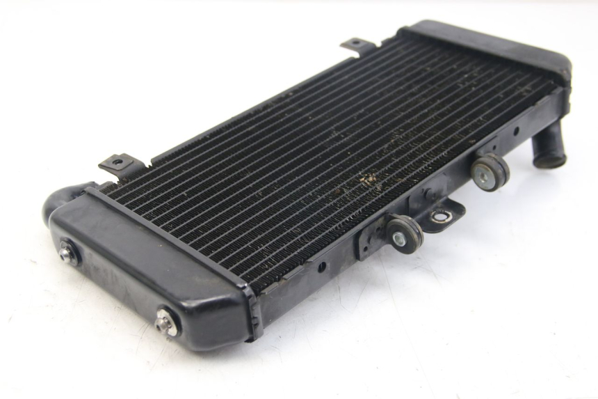 photo de RADIADOR YAMAHA FZS FAZER 600 (2001 - 2003) - Estado da superfície