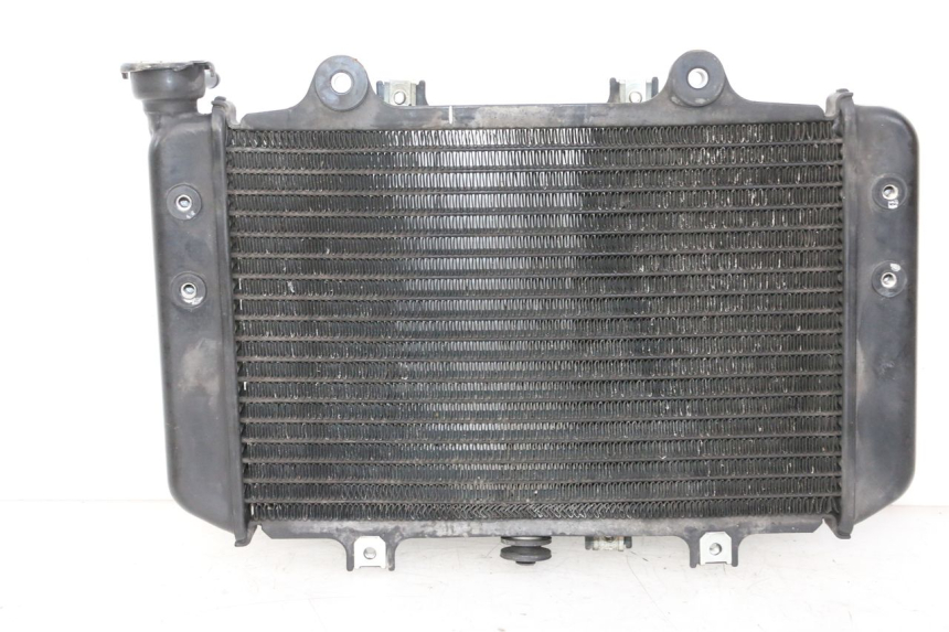 photo de RADIADOR BMW G310 R 310 (2016 - 2020) - Vista principal
