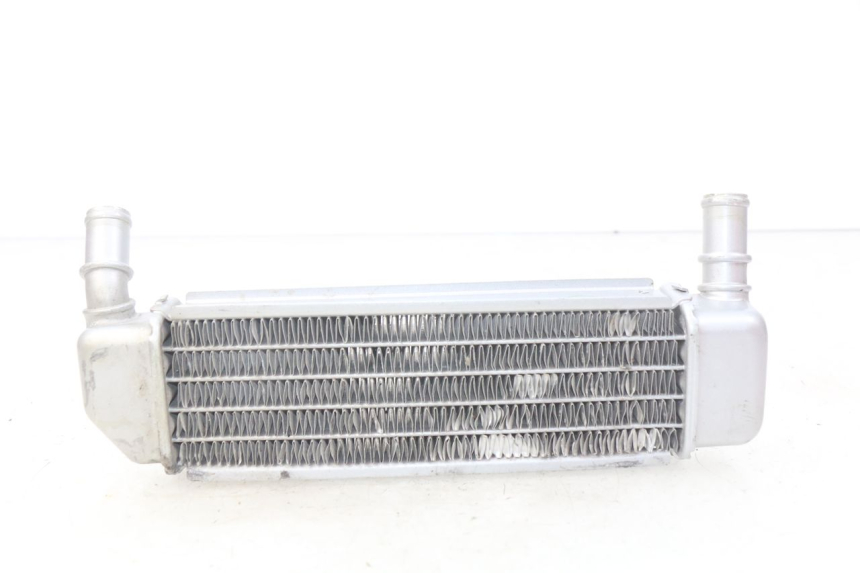 photo de RADIADOR ESQUERDO PEUGEOT LUDIX BLASTER 50 (2006 - 2014) - Vista principal