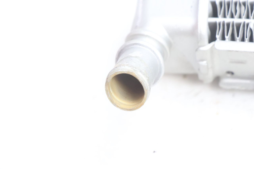 photo de RADIADOR ESQUERDO PEUGEOT LUDIX BLASTER 50 (2006 - 2014) - Vista geral