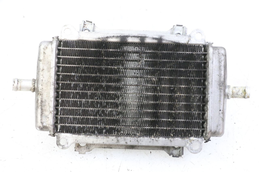 photo de RADIADOR ESQUERDO PIAGGIO VESPA GRANTURISMO 200 (2004 - 2005) - Detalhe da peça