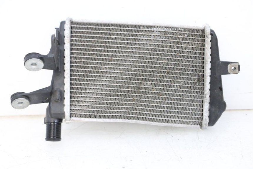 photo de RADIADOR ESQUERDO BMW R GS 1250 (2021 - 2024) - Vista principal