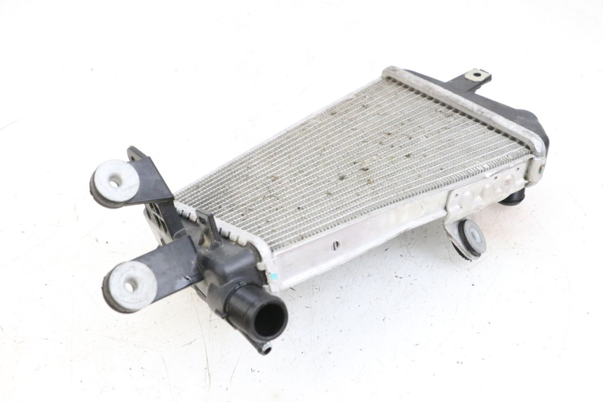 photo de RADIADOR ESQUERDO BMW R GS 1250 (2021 - 2024) - Detalhe da peça